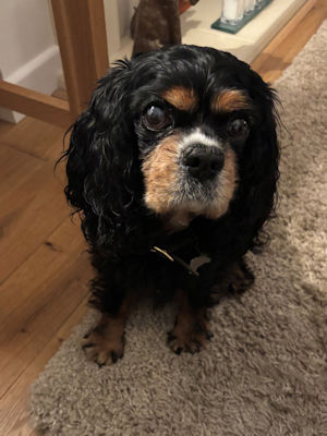 Max2 - 2025_12_09.jpg